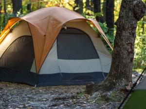 On April 8, residents of Manitoba can begin booking the campsites, cabins, and yurts they hope to enjoy around the province this summer. Reservations will be staggered in order to spread out the volumes of calls and online bookings over a five-day period.