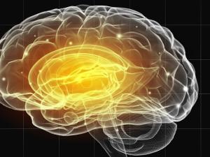 Recently, there has been an increase in dialogue and protests in Canada on the subject of “gender ideology” in schools.