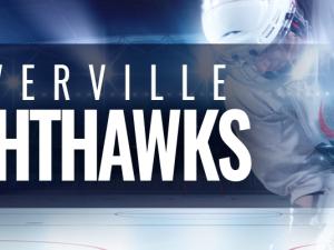 Niverville’s new Junior A hockey team officially has a name: the Niverville Nighthawks.