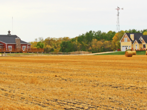 Whitetail Meadow, at the corner of Highways 200 and 311.