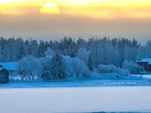 This Solstice, I dance with 11 incredible, magickal we’moon (think: “women,” but non-binary and certainly wild, in the best sense of the word). There are 12 of us, one for each month of the year.