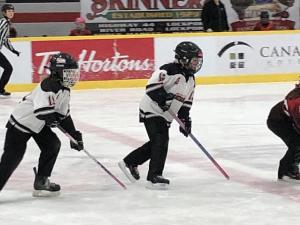 Red River Rage U10 players take the ice.