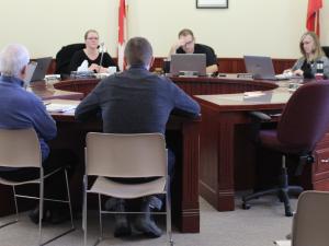 Ritchot’s council speaks with recreation consultants.