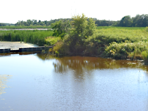 Ducks Unlimited’s Tourond Creek preservation area