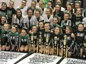 Scorpions Elite Cheer, in its eighth competitive season, has almost 100 athletes in its ranks