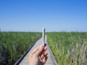 Legal marijuana is coming up fast. Are we ready?