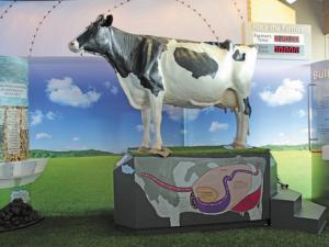 A display at the Bruce D. Campbell Farm & Food Discovery Centre