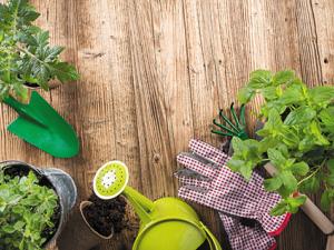 Flexing Your Green Thumb this Summer