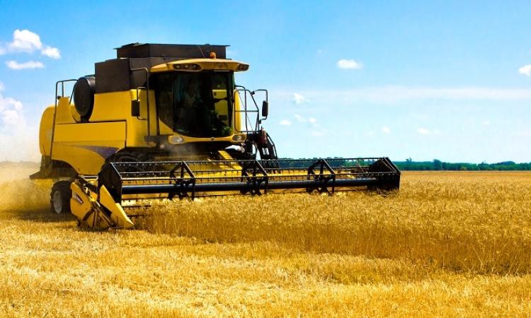 Local farmer Marc Loeppky has few words to describe this year’s crop production other than that it’s “all over the map.” Loeppky’s farm, located immediately southwest of Niverville, consists of 3,200 acres of planted fields.