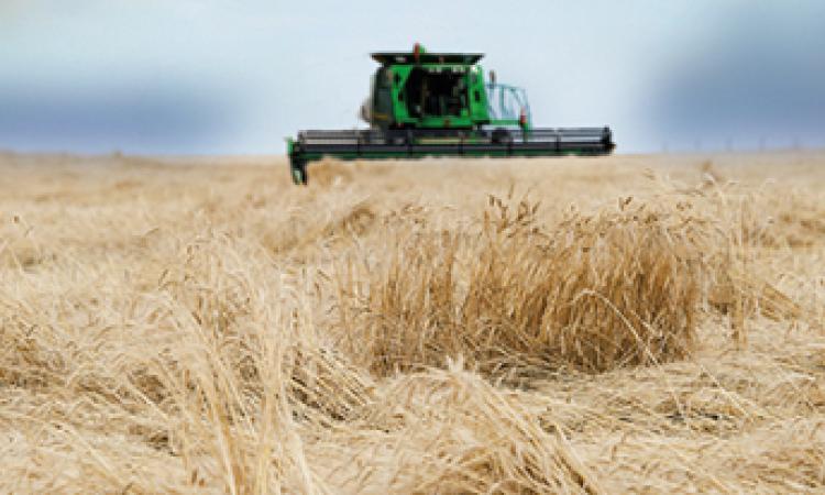 New financial supports for the agriculture sector were announced by the provincial government on January 18 in Brandon.