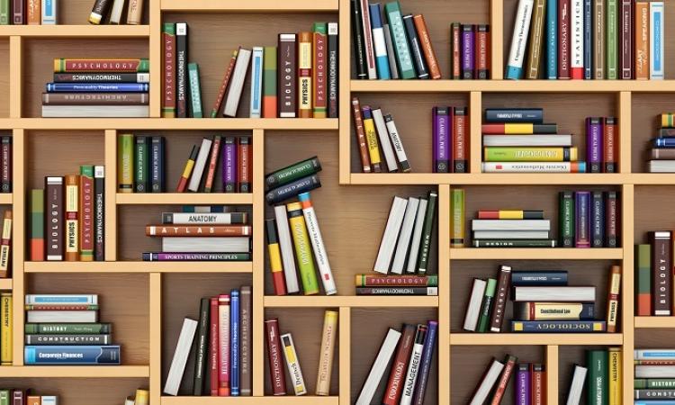 The Bibliotheque Ritchot Library was the recipient of just over $46,000 in grant funding this year thanks to public library support from the province of Manitoba.