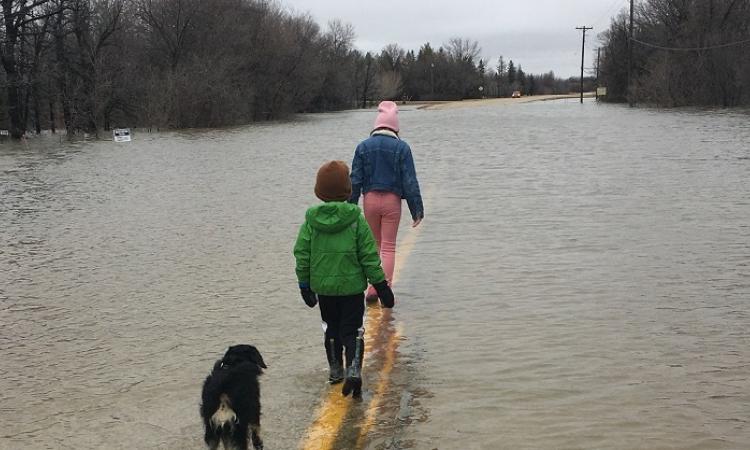 Ritchot residents witness the extent of flooding near their home along Highway 200.