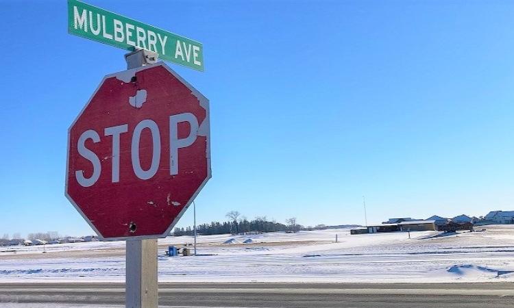 The intersection of Highway 311 and Mulberry Avenue is getting major upgrades next year.