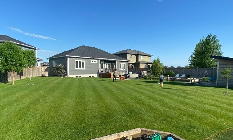 Rhett Schramm of Niverville is passionate about exceptional lawn care.