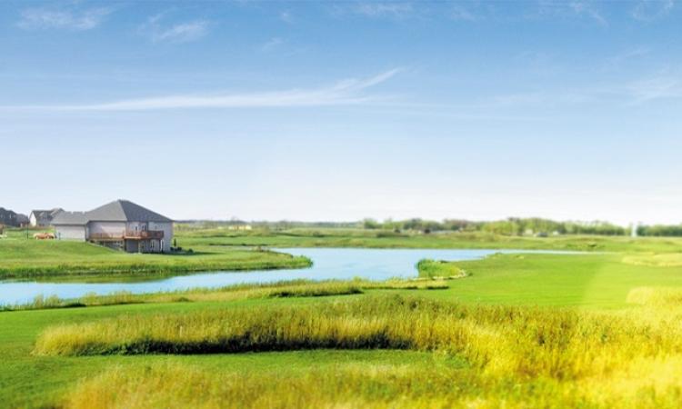 Old Drovers Run in Niverville