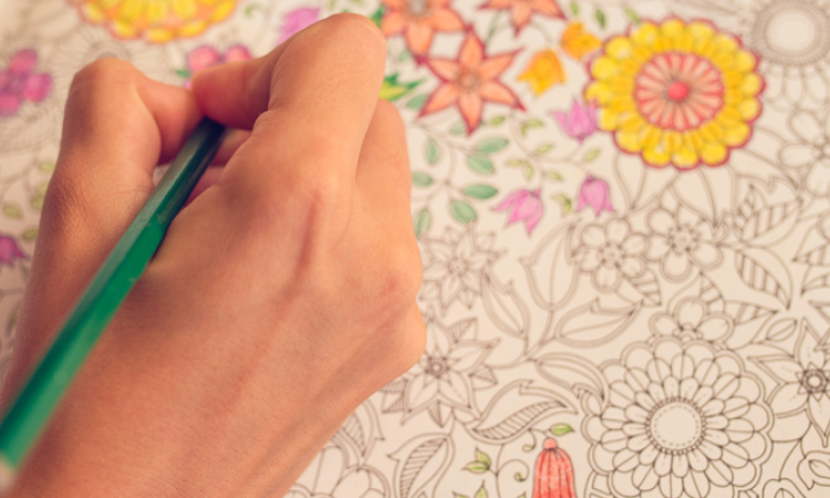 A local woman is getting on board with the adult colouring trend by offering Niverville’s first ever Color Between the Wines event. 