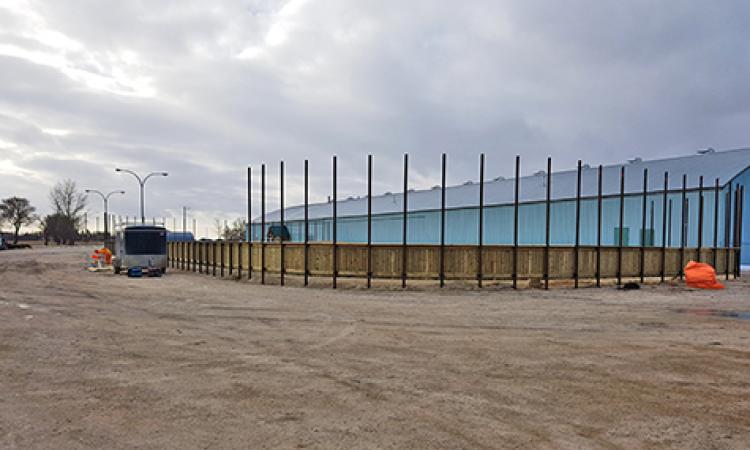 Lace Up for Outdoor Rinks