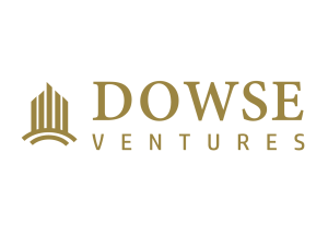 DV