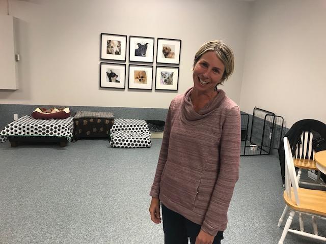 Tammy Thomson at the Tender Touch Doggy Daycare in Île-des-Chênes.