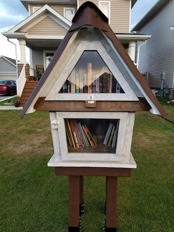 1 Little Free Libraries Crop Up Around Niverville Pic