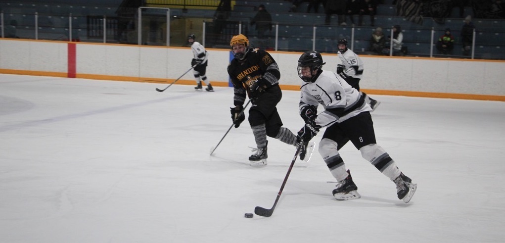 1 Local Players Make The Roster Of Eastman Hockey Teams Pic Crop