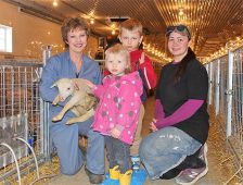 1 Lambing Time At Apex Farms Pic