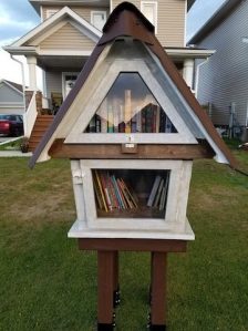 1 Little Free Libraries Crop Up Around Niverville Pic