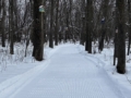 Baudry Trail Skiing Crop1