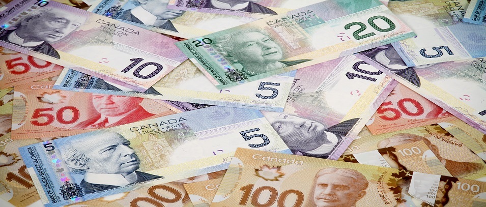 Canadian Money Crop