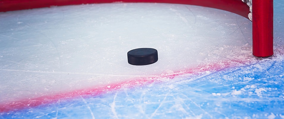 Hockey Puck Crop1