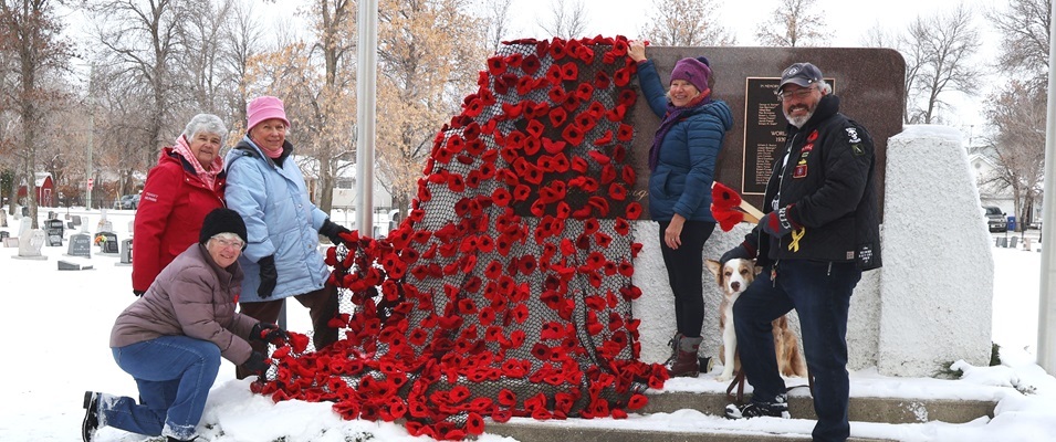 Poppy Blanket Crop1