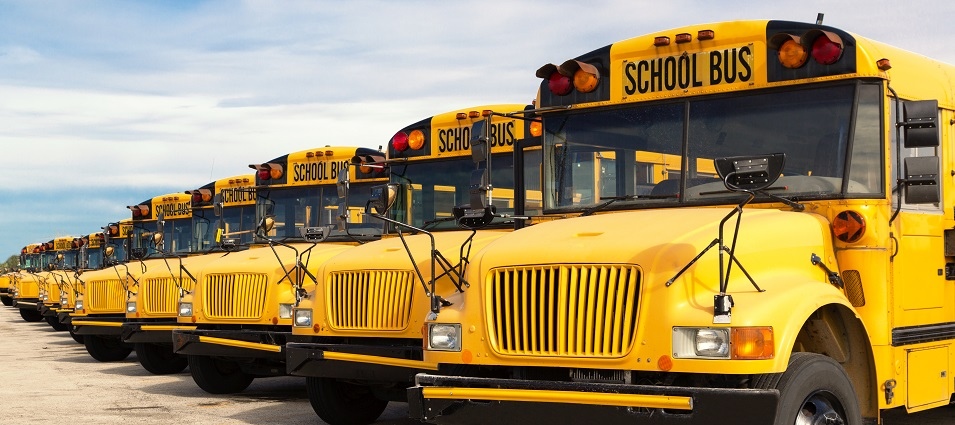 School Buses Crop