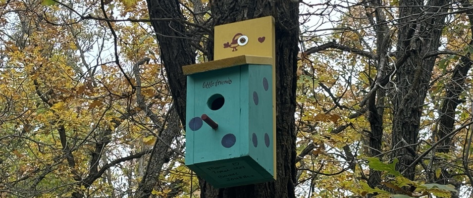 Trasil Birdhouses Crop1