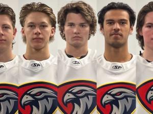 Kyle Bochek, Merik Boles, Nathan Brown, Michael Debrito, Matt Healey, Mighton Johnson, and Ty Kennett.