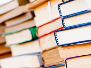  At least one Niverville resident is not happy with town council’s decision to keep library funding to a minimum over the next few years.