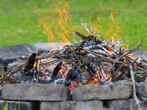 In the coming weeks, as residents begin to get outside to enjoy their backyard spaces, Niverville’s town council wants to make sure everyone is doing it safely.