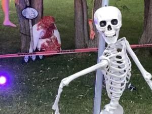 Barry Piasta's yard in Niverville is a Halloween lover's dream.