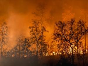 Across the nation, 2023 marked an unprecedented year for wildfires.