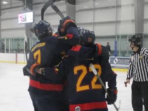 The Nighthawks celebrate a goal in their win over the Selkirk Steelers.