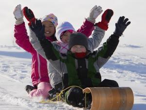 The TC Energy Centre will host the return of the Île-des-Chênes Snowman Festival on Saturday, February 4 from 10:00 a.m. to 6:00 p.m. Residents from Île-des-Chênes and the surrounding area are welcome to join in on the family-friendly fun.