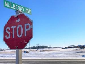 The intersection of Highway 311 and Mulberry Avenue is getting major upgrades next year.