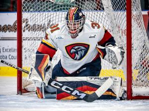 Raiden Legall in net.