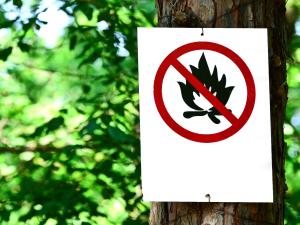 A fire ban is in effect throughout southeastern Manitoba.