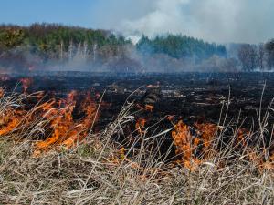 In the midst of recent extreme temperatures and high winds, out of control wildfires are now moving through some parts of eastern Manitoba where cottages and campgrounds abound.