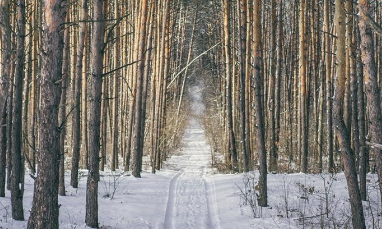 Whether you’re the outdoorsy type or a couch potato, the provincial government would like to give you a reason to get outside and explore this month.