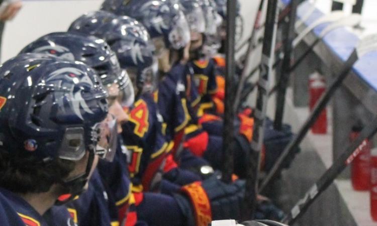 The Niverville Nighthawks will be travelling home from the Parkland region with two points in the bank after a massive 5–2 win over the Dauphin Kings. 