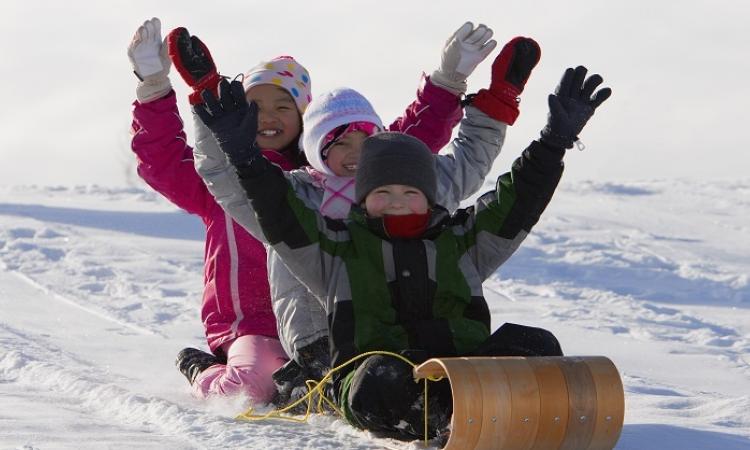The TC Energy Centre will host the return of the Île-des-Chênes Snowman Festival on Saturday, February 4 from 10:00 a.m. to 6:00 p.m. Residents from Île-des-Chênes and the surrounding area are welcome to join in on the family-friendly fun.