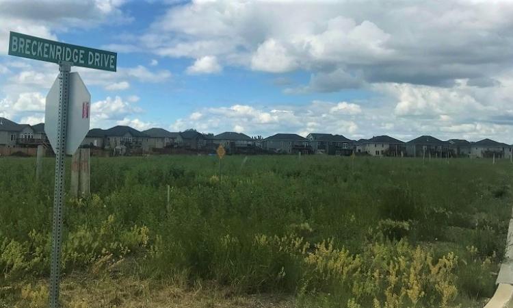 The undeveloped lots on Breckenridge Drive in Niverville.