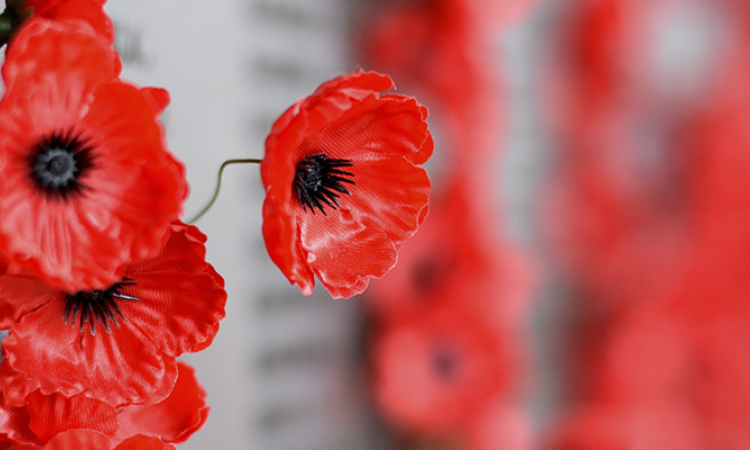 Remembrance Day 2019 in Niverville will be commemorated with a ceremony at the Heritage Centre, beginning promptly at 10:00 a.m. 
