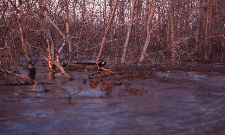 Waters are rising along the Red River.